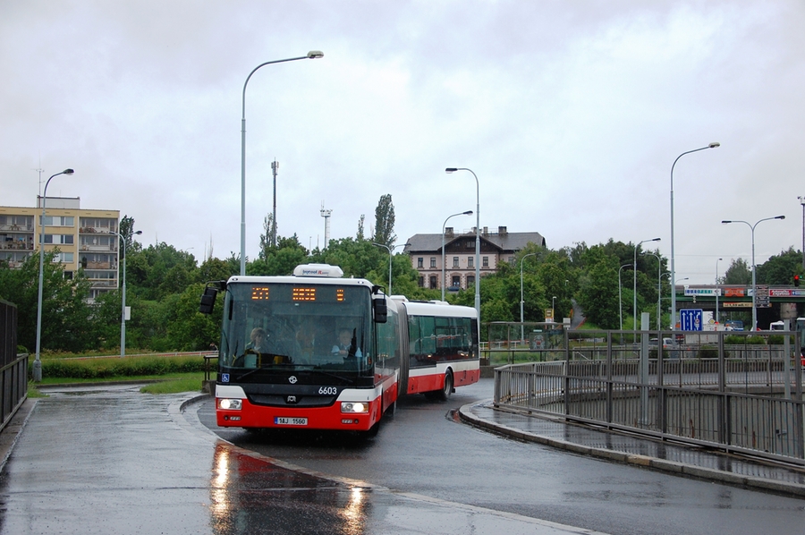 6603